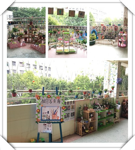 春暖花開(kāi)，綠樹(shù)成蔭——遠(yuǎn)恒佳公明第二幼兒園自然觀察角大比拼