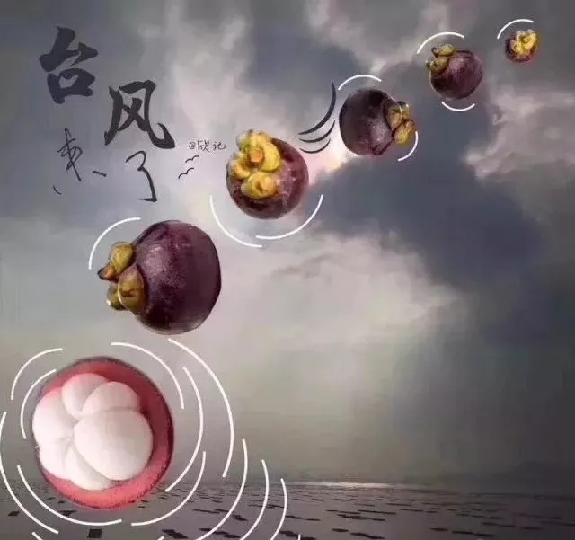 臺(tái)風(fēng)無(wú)情人有情，應(yīng)對(duì)臺(tái)風(fēng)“山竹”，我們團(tuán)結(jié)一心。