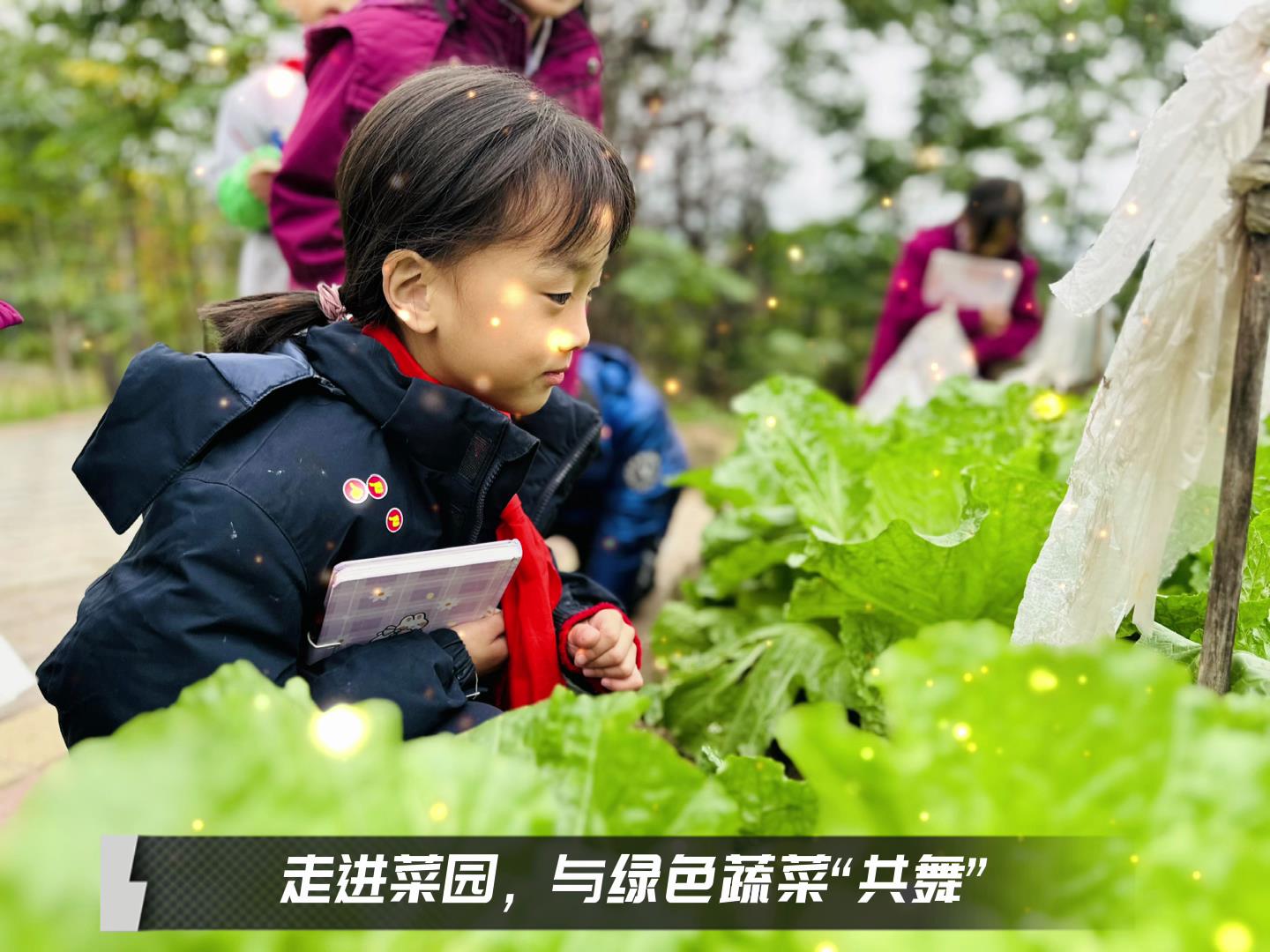 美好學(xué)校|留校時(shí)光，走出教室，與綠色蔬菜共舞